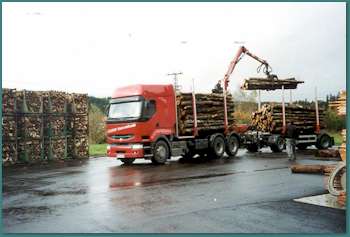 Holztransport