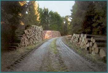 Holzvermarktung